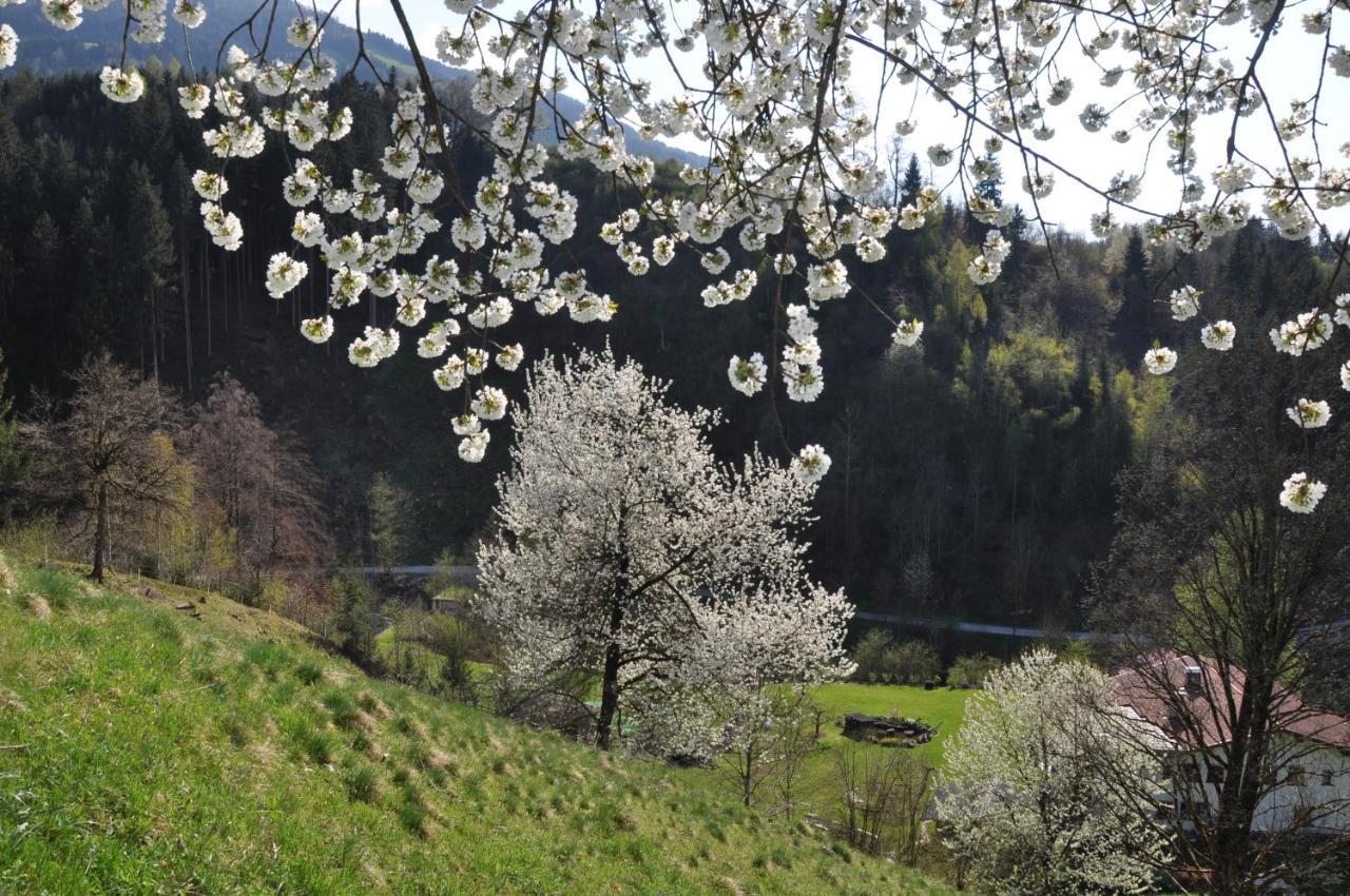 Gasthof Edelweiss
